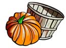 squash vegetable basket